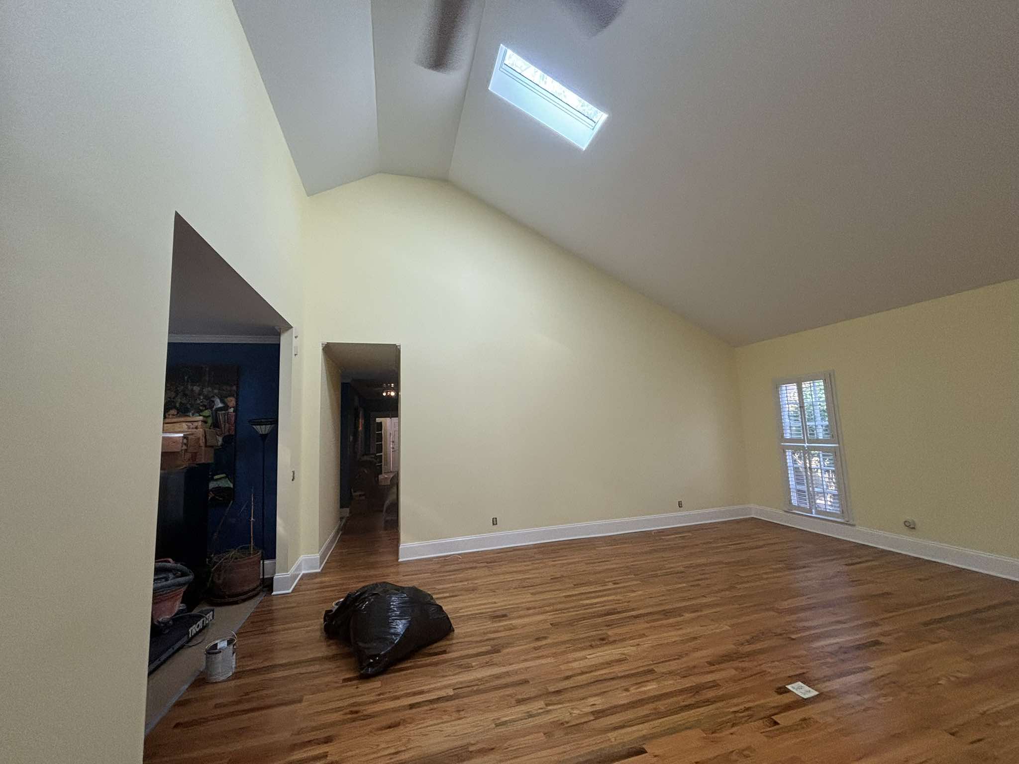 Finished high-ceiling room with pale neutral walls, white trim, skylights, and hardwood floors